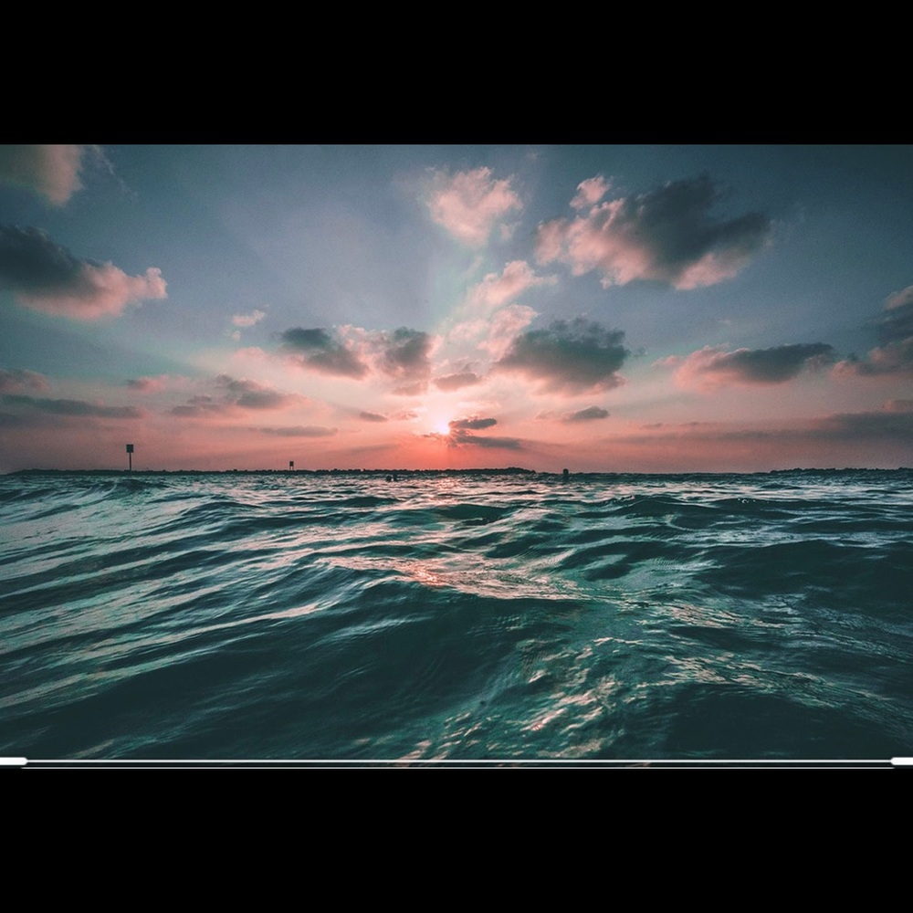 Meet your Posher, Ava